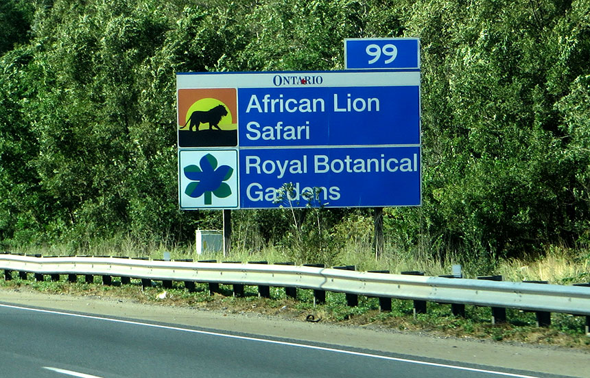 African Lion Safari Tour